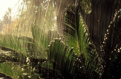 窗外的雨一直下个不停的说说 适合连续下雨天发的朋友圈