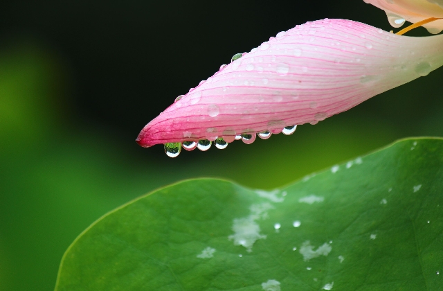 描写雨后空气清新的句子 下雨后发朋友圈的句子